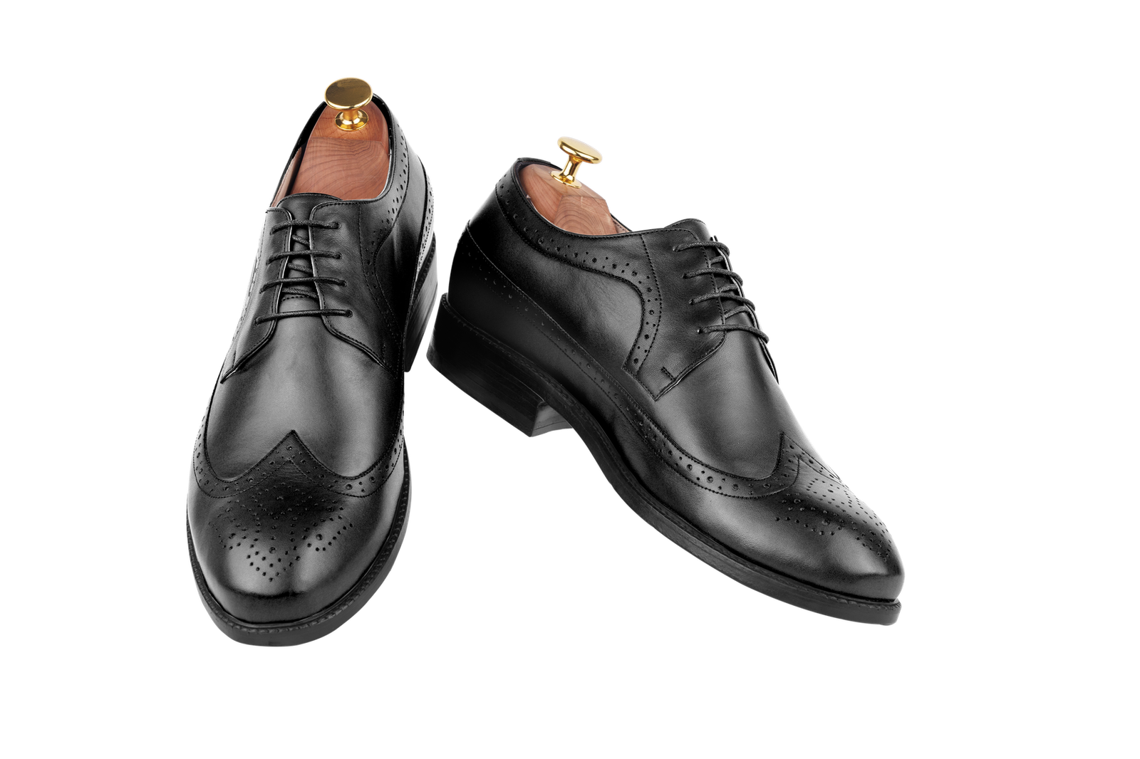 Model 31 - Derby Wingtip Full-Brogue (Jaipur Last)
