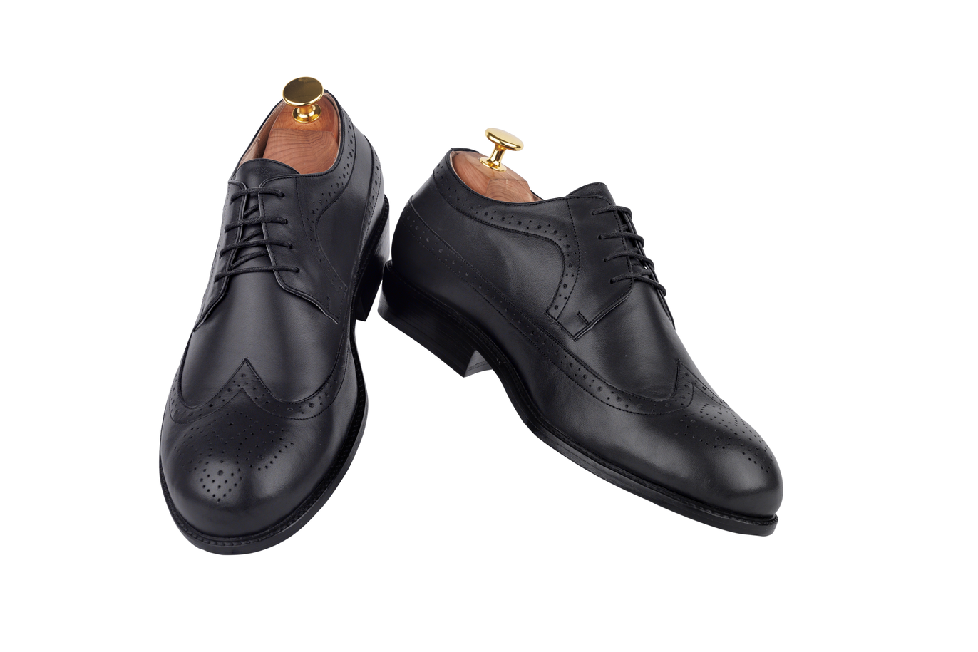 Model 31 - Derby Wingtip Full-Brogue (Seoul Last)